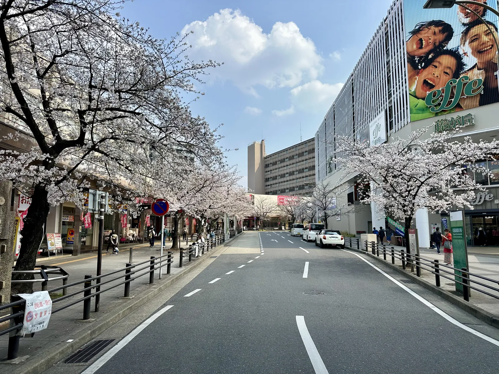 Cherry blossoms by Fujigaoka Station
